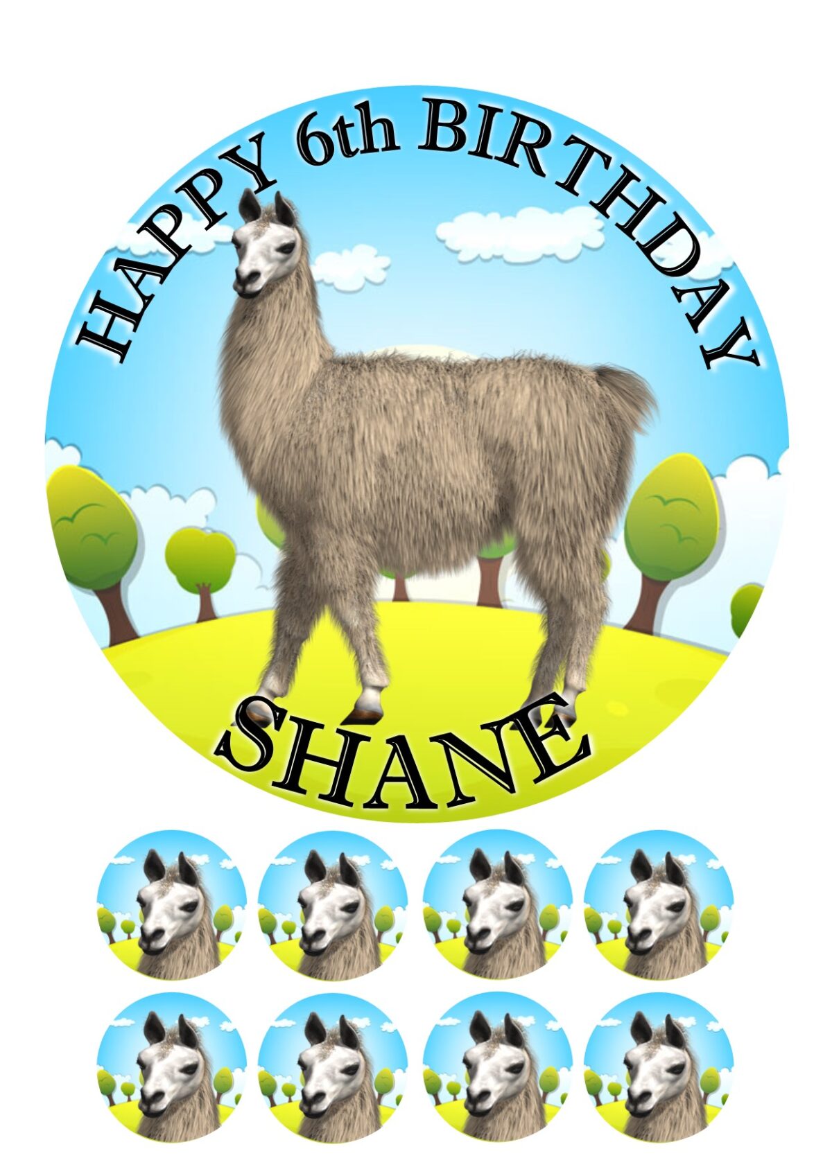 LLAMA ICING BIRTHDAY CAKE TOPPER