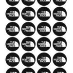 24x NORTH FACE Icing Cupcakes