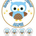 Cute Owl Icing Birthday Cake Topper & 8 Cupcake Toppers