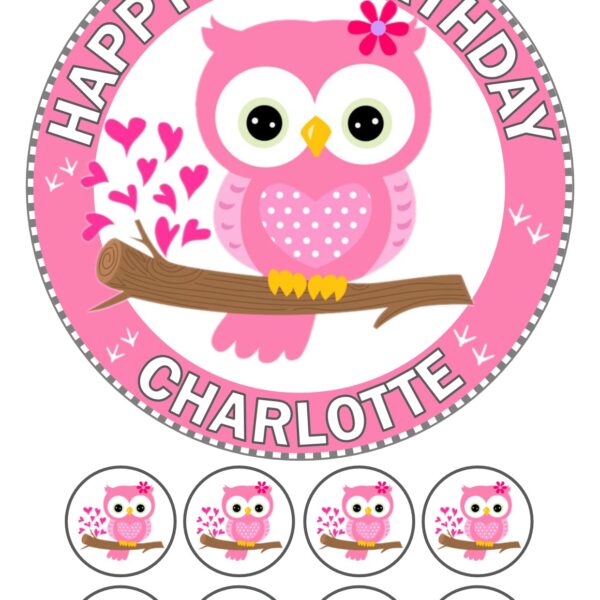 PINK OWL ICING BIRTHDAY CAKE TOPPER & CUPCAKES
