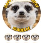 meerkat ICING BIRTHDAY CAKE TOPPER & CUPCAKES