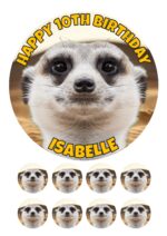 meerkat ICING BIRTHDAY CAKE TOPPER & CUPCAKES