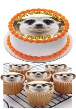 meerkat ICING BIRTHDAY CAKE TOPPER & 8 CUPCAKES