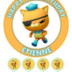 Octonauts Kwazii Icing Birthday Cake Topper & 8 Cupcake Toppers