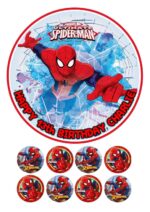 SPIDERMAN ICING BIRTHDAY CAKE TOPPER