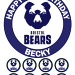 bristol bear icing cake topper